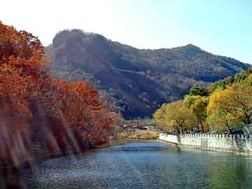 正新澳门二四六天天彩，科雷傲论坛